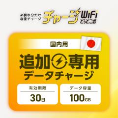 yǉ`[WpzL30 100GB {p