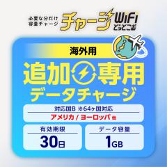 |Pbgwifi COp ǉf[^`[W AJ [bp Ώ64 1GB 