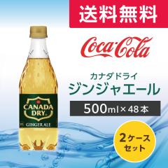 �J�i�_�h���C �W���W���[�G�[�� PET 500ml ���[�J�[���� �J�i�_�h���C 48�{ 2�P�[�X �W���W���[�G�[�� �Y�_ �W���[�X ��������