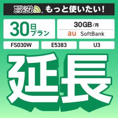 ypzwifi ^ FS030W E5383 30GBv 30 [^[ wi-fi  |Pbgwifi 1