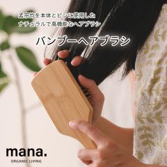 �o���u�[�w�A�u���V (�m�[�}��)�@����}�b�T�[�W/FSC�F�؁@