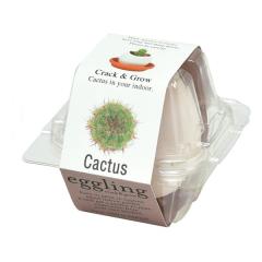 ���V���| �Z�C�V���g�E�Q�Ceggling �G�b�O�����O �N���A�p�b�P�[�W �J�N�^�X EG-5703(2646804)