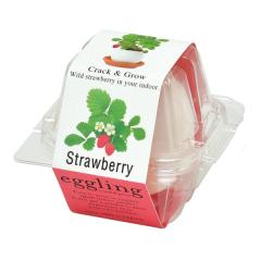 ���V���| �Z�C�V���g�E�Q�Ceggling �G�b�O�����O �N���A�p�b�P�[�W ���C���h�X�g���x���[ EG-5704(2646805)