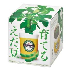 ���V���| �Z�C�V���g�E�Q�C��Ă邦�����͔|�Z�b�g GD-979(2646801)