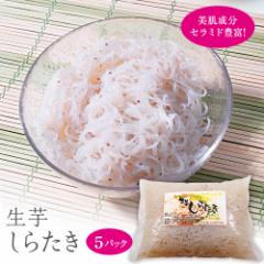 Ε Ε Mtg   炽  ɂႭ  炽 250g5pbN Z~h  _CGbg  炽 