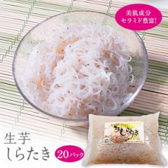 Ε Ε Mtg  炽250g~20pbN _CGbgHi _CGbg ᓜ ItHi  J[It J[ 