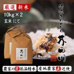 �ߘa7�N�Y �V�� �� ���� 10kg�~2 20kg �������� ���� �������ʂЂ���H�c�� �Δ������� ���ĐH ���Y�_�ƒ��� ���� ���ăM�t�g 20�L��