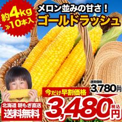 �y�����I���ԋ߁z �Ƃ����낱���̉��l ������ ���ł��H�ׂ���� �k�C���Y �S�[���h���b�V�� 10�{�� �������� 42���{�˔j �w����s�� ��