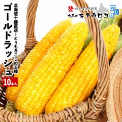 396,000本突破! とうもろこしの王様 朝もぎで生でも食べられる♪ 北海道産 十勝直送 ゴールドラッシュ 10本入 送料無料
