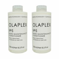  2{Zbg IvbNX no.5 {heiX RfBVi[ 250ml eꔄ Tꔄ wAPA 邨 OLAPLEX