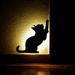 LEDCg Cat Wall Light 2 肩 EH[Cg({)