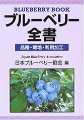 WF2012 ワンフェス2012夏限定 ねんどろいど インセイン・ブラック☆ロック （未使用品）の通販はau PAY マーケット -  MAGGY&MAGGY au PAY マーケット店 | au PAY マーケット－通販サイト