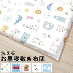 �����Q�~�z�c 70�~120cm ���ݖ�3cm ��100�� �h�b�g ���� �� �� �_ �A�j�}�� �e�f�B�x�A ���� �j�̎q ���̎q �����Q �~���z�c �~���z�c�J