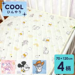 �x�r�[ �⊴ �L���g�p�b�h 70�~120cm ���M�����[�T�C�Y �x�r�[�z�c�p �f�B�Y�j�[ �v�[ �~�b�L�[�}�E�X �g�C�X�g�[���[ �f�B�Y�j�[�v����