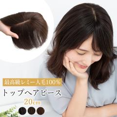 トップカバー 20cm 部分手植え レミー 人毛100% 部分ウィッグ 自然