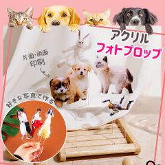 �A�N�����t�H�g�v���b�v �A�N�����X�^���h M�T�C�Y���D���Ȃ��ʐ^�ō���I���W�i���{�̂�����l�X�Ȋ��p�q�� ���� �����̎q�O�b�Y �v��