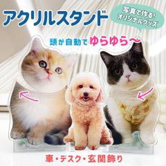 �A�N�����X�^���h ���D���Ȃ��ʐ^�ō��� �I�[�_�[���C�h �I���W�i�� ���������ł����y�b�g�ԏ�������� ��U�� �M�t�g�� �ʐ^ �v