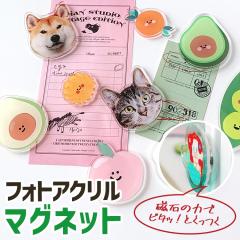 ���D���Ȃ��ʐ^�ō���I���W�i�� �A�N���� �}�O�l�b�g �q�� ���� �v���[���g �M�t�g�� �I�[�i�[�Y�O�b�Y ��̓� �Ԃ����v���o �����j