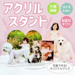 �A�N�����X�^���h  L�T�C�Y 17cm ���D���Ȃ��ʐ^�ō���I���W�i�� �A�N�����X�^���h�q�� ���� �����̎q�O�b�Y �v���[���g �M�t�g�� ��