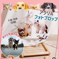 �A�N�����t�H�g�v���b�v �A�N�����X�^���h L�T�C�Y���D���Ȃ��ʐ^�ō���I���W�i���{�̂�����l�X�Ȋ��p�q�� ���� �����̎q�O�b�Y  ��