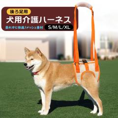 Pleaser(プリーザー) ADORE-720 バックZIP フリルストラップ 厚底