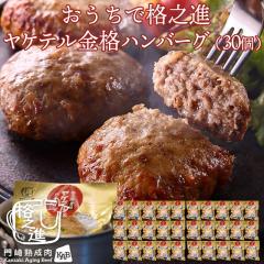 �M�t�g �n���o�[�O ���߂邾�� ���Y �Ⓚ �������� �i�V�i ���P�e�����i�n���o�[�O ��120g 30�Z�b�g �i�V�p�b�P�[�W�j ���Y�� ������