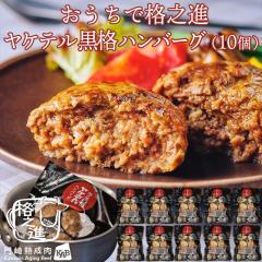 �n���o�[�O ���߂邾�� �Ⓚ �������� �i�V�i ���P�e�����i�n���o�[�O ��120g�~10�Z�b�g ���јa�� ���Y�� ���Z�{��/�i�V�i��