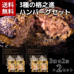 ハンバーグ 和牛 内祝い 国産 ギフト 冷凍 送料無料 格之進 3種の格之進ハンバーグセット 120g 各2個×2セット 黒毛和牛 白金豚 塩麹 春