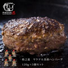ハンバーグ 温めるだけ 冷凍 送料無料 格之進 ヤケテル黒格ハンバーグ 約120g×5個セット  黒毛和牛 春ギフト  御礼 agesugi_sgu
