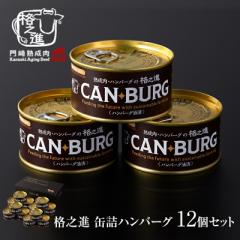 �ʋl �h�� �܂� �v���~�A�� �i�V�i �n���o�[�O 12�ʃZ�b�g ���H ��� ���Z�{��/�i�V�i��