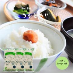 令和6年産 岡山県産 コシヒカリ 900g【300g (2合)×3袋】 米 お米 ポイント消化 送料無料 お試し メール便