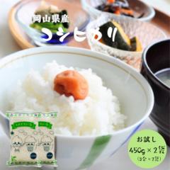 令和6年産 岡山県産 コシヒカリ 900g【450g (3合)×2袋】 米 お米 ポイント消化 送料無料 お試し メール便
