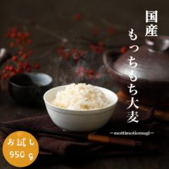 国内産 もっちもち 大麦 950g 1袋 ポイント消化 お試し 雑穀米 もち麦の代わりに α化処理 メール便 500円ポッキリ