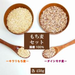 国内産 もち麦セット(キラリもち麦・ダイシモチ)各450g ポイント消化 お試し 雑穀米 メール便
