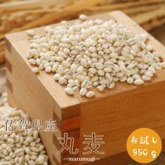 佐賀県産 丸麦(大麦)950g 1袋 チャック付き α化処理 お試し 雑穀米 もち麦の代わり 美容 ダイエット メール便
