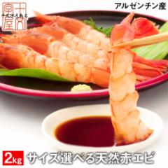 ���h�g�p �V�R�Ԃ��� �T�C�Y�I�ׂ� ���� �� �� �Ɩ��p 2kg �������� �A�J�G�r �������� �ԊC�V �A���[���`���Y L1 L2 L3