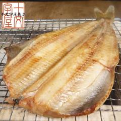 �Ɋ��̃x�[�����O�C �����Ƃ�Ȃق��� ��T�C�Y 400�`500g �A�����J�Y ���V�A�Y �A���X�J�Y �z�b�P �J������ ���� ��銱�� BBQ