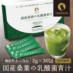 T 青汁 桑葉 茶匠庵 国産桑葉青汁 30包 メール便送料無料 腸活 乳酸菌 酵素 明日葉 オリゴ糖 600億個の乳酸菌 ダイエット 糖質