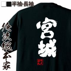 ���� ���ST�V���c�y�{��z���� ���� ���� ���b�Z�[�Wt�V���c��������G�� ���΂�T�V���c|��������t�V���c ����t�V���c �ʔ���t�V���c ��