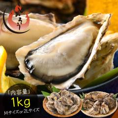 2L�AM�T�C�Y���I�ׂ� �J�L ���y ���� �����y ���K�L ���H�p �k�t�� 1kg�@�Ⓚ �M�t�g �v���[���g �h�V�̓�