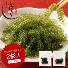 CԂǂ 5{ɖc Y F 2H(^tj  1000~ |bL CuhE Ђ C Zp  蕨 