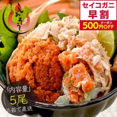 �y�����N�[�|����500�~OFF�I�z ���������� �Z�C�R�K�j �������I ���T�C�Y�~5�� ���� �z�O���t �i�����w��s�j�����������i ��11��6����