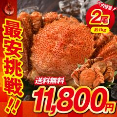 �уK�j 500g�O��~2�� �I �ъI �т��� �C�N �J�j ���� �m���������n�{�C�� �����O���� �{�C���I ���蕨 �Ă��I �����񂹃O���� kst23_d