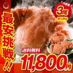 �уK�j 400g�O��~3�� �J�j ���� �I �p �ъI �т��� �{�C���I �H�ו� ���� �傫�� �Ⓚ �k�C�� �{�C���J�j ���� �k�C���Y �������� ����