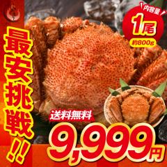 �уK�j 800g�O��~1�� �J�j ���� �I �p �ъI �т��� �{�C���I �H�ו� ���� �傫�� �Ⓚ �k�C�� �{�C���J�j ���� �k�C���Y �C�N ���蕨 ��