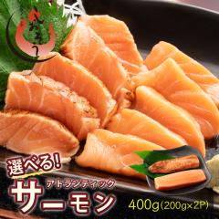 �T�[���� �A�g�����e�B�b�N�T�[���� �h�g �����t�肪�I�ׂ� �u���b�N �����Ղ� (�����t��~2�p�b�N�i�e1�p�b�N�j) 400g�i200g�~2P�j����