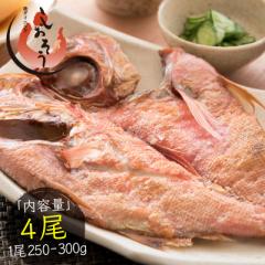 ڑ  250`300g~4iǌ^TCYF28`30cmj{錧Y L_C 蕨 Mtg v[g