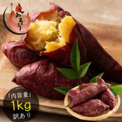󂠂 g͂邩 Ă 1kg Y Ă ܂ Y Y  XC[c Hi n Â  Tc}C 