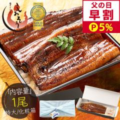 �y���̓� ����P5���I�z ���Ȃ� ���Ă� ���� ���Y ����T�C�Y ��200g�~1�� �E�i�M �V �̋z�� 2���ȏ�̂������ŃM�t�g�p���ϔ��z�� ���蕨