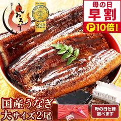 �y��̓� ����P10�{�I�z ���Ȃ� ���Ă� ���Y ���� ��T�C�Y 165g�O��~2�� �E�i�M �V �̋z�� ���ϔ� �M�t�g �v���[���g ��̓�